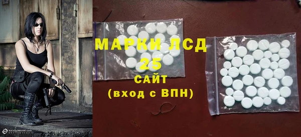 спиды Бородино