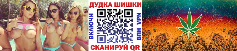 купить наркотик  Высоковск  кракен как зайти  Конопля ГИДРОПОН 